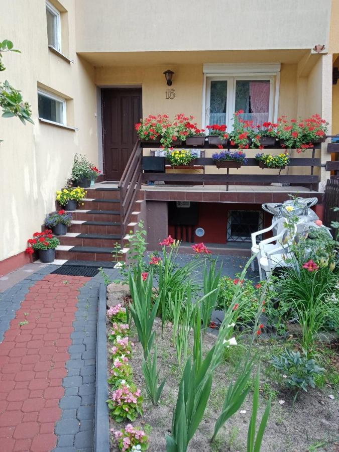 Romanowka Homestay Reda