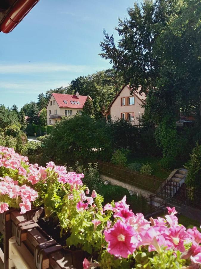 Homestay Romanowka Reda